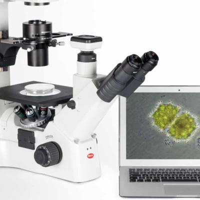 Inverted microscope AE31E (with florescence option)