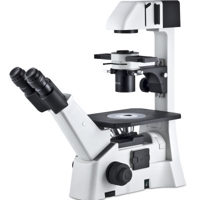 Inverted microscope AE31E (with florescence option)