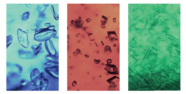 Crystalline-coloured-particle-view-imaging-768x390